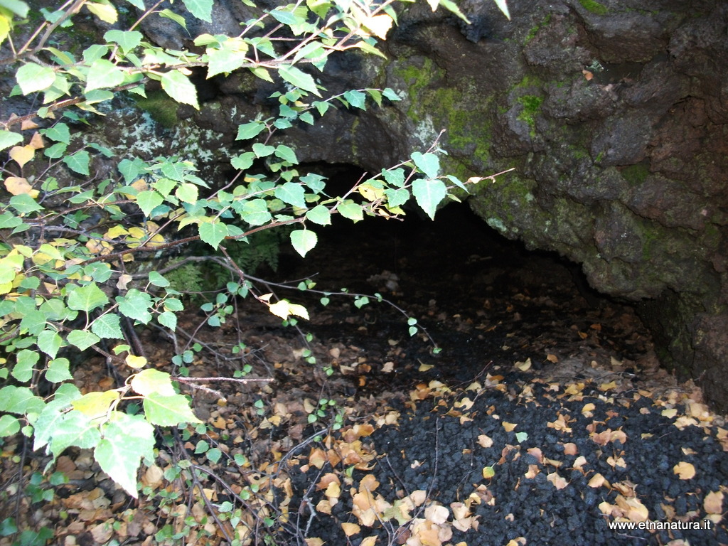 otta monte Zappinazzo-04-11-2012 09-41-16